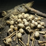 인조 해골 모델 도마뱀 크롤링 애완 동물 캐비닛 장식 홈 장식 수족관 하우스 수족관 장식 미니 뼈 1:12 : 도쏠라직구