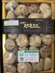 유기농 장흥표고버섯 동고 400g : 정남진표고돌이