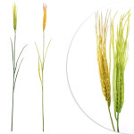 조화 이삭 보리 열매 가지 곡물 72cm 조화꽃 꾸미기 장식 데코 꽃장식 소품 소재 : 더리얼스엠데코