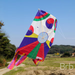 비리본 방패연 10개입 얼레X 추석 전통민속놀이 완제품 설날 연날리기 : 비리본Brb