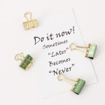 투투 6 개상자  골드 아보카도 시즌 과일 바인더 클립 금속 바인더 클립 사진 티켓 노트  종이 클립 H0327 : 성서무역