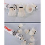 LI-NING 리닝 배드민턴 공 셔틀콕 깃털 경기용 프로 G100 방풍구 A+60 : 나는 몰