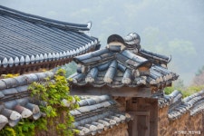 안동 당일여행 - 병산서원+안동하회마을+봉정사 / 낙동강 물길따라 떠나는 문화유산여행 : 트립앤미