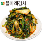 뜰아래김치 국산 얼갈이 열무김치 3kg : 별아래 김치