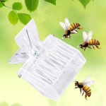 5PC 내구성 플라스틱 투명 양봉 클립 여왕벌 없는 양봉가 장비 곤충 포수 정원 도구 벌집 5PCS : 하이클립몰