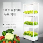 야채키우기 재배기 수경 무토 수배채기 창문 무토재배설비 상푸 무 야채재배기 수직농장 뉴 홑겹 순환 세트 중등의 : 에이치랜더