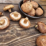 영동 상촌 무농약 일라이트 생 표고버섯 250g : 상촌정야네농장