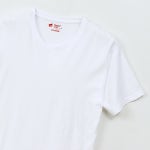 헤인즈 빔즈 별주 재팬 핏 2팩 티셔츠 Mix Japan Fit 2Pack T-shirts : 페어게이트