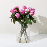 [단품] 마르틴 장미 한단 꽃선물 생화택배 꽃농장 농협생생화환 : 농협생생플라워