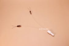 [고야미] 초파리 고양이장난감 : 고야미 GOYAMI