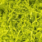 미플릿 1/2 LB 크링클 컷 종이 파쇄 필러 8온스 연두색 선물 상자 - 바구니 가방 부활절, 어버이날, 명절 포장 포장용 잔디 쿠션 스터핑 Black... 