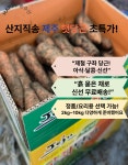 제주 구좌 햇 흙당근 상 정품 특 요리용 2kg 3kg 5kg 10kg : happy농수산