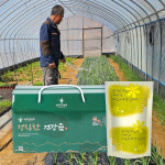 [국내산] 정직한 공심채즙 100ml 30포 모닝글로리 액기스 : 농부건강농원