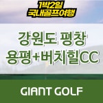 강원도골프 평창 용평+버치힐cc 1박2일 : 자이언트 골프패키지