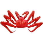 킹크랩 모형 대게 간판 샘플 진열 레어 크랩 촬영용 삶기 장식 붉은 바닷가재 가로 게 20 : 샵픽스토어