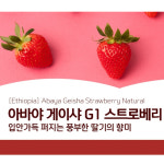 에티오피아 아바야 게이샤 스트로베리 내추럴 200g : 휴먼빈스