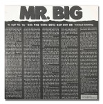 Mr. Big – Live [국내산LP] : USED LP