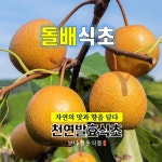 [보나 천연발효 돌배식초 375ml] 100% 국내산/무첨가 건강식초 / 항산화 효능 : 코니멀즈