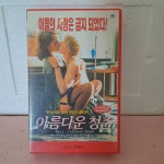 378- 아름다운 청춘 비디오테이프 : 보물섬 점빵