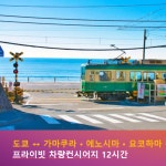 [단독차량] 가마쿠라/에노시마/요코하마 차량대절 [차량1대/12시간/알파드 최대5명 하이에이스 최대8명 탑승이용] : Asob 에이솝