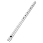 D Whistle Fern Woodwind Instrument Puzzle Flutes for Kids Silver Recorder Student : 에스디원연구소