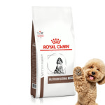 로얄캐닌 독 처방식 가스트로인테스티널 퍼피, 1kg, 1개 : 드림펫 동물병원