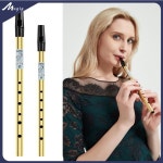 2 개 세트 높은 C + D 키 아이리쉬 휘슬 황동 소재 골든 피니싱 틴 휘슬 페니 휘슬 목 관악기 액세서리 : 에스디원연구소