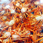 국내산 박달 홍게 대게 포항 구룡포 제철 3kg 5kg : 새미농장