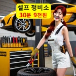 셀프 정비소 30분5000 무인 자가 점검 청주 대전 성지 셀카24 레어템 금액 천안 공주 : 자동차의 모든것 착한카
