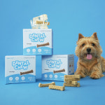 본아페티 덴탈츄 육류0% 강아지 양치 치석치태 제거 개껌 XS(초소형), 12g, 90개 : 본아페티