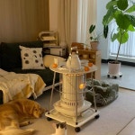 캠핑난로 SL 6623 석유 차박 SL 5122 용량 년형 SL6624 가방 1 전용 천장 : 스튜디오 시티이에