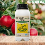 테라솔 500ml 유리아미노산 활력향상 냉해 서리피해 고온피해 예방 고추 식물 화분 영양제 : 티움네이처