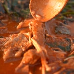 산초원 흑염소전골(2-3인분) 염소고기 흑염소고기 : 산초원흑염소