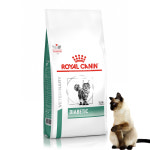 로얄캐닌 고양이 처방식 다이아베틱, 1.5kg, 1개 : 화이트펫