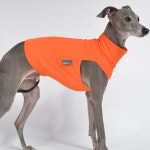 막스플레이 UV 아쿠아-X 슬리브리스 선셋 오렌지 이탈리안그레이하운드 아이쥐옷 : MARX PLAY