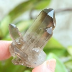 연수정 클러스터 (브릿지 수정) - 에너지 안정과 균형, 재생과 활성, 스모키 쿼츠 : 크리스탈마법상점