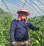 농장주 황호군의 지리산청정 산골블루베리 1kg : 하동마켓