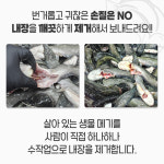 국내산 민물고기 메기 1kg , 메기매운탕 민물매운탕 어탕 어죽 : 자연나라다슬기