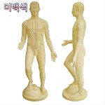 해성씨엔피 | -주문제작 한국표준 침구동인 전신모형 경혈부호 혈위 표기 170cm 약28kg 색상 택1 : 종로상사
