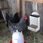 Chicken Feer Grit Feer Portable Easy tallation Garn Cage Accessory : 충민무역