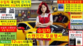 수입차 정비 나라 공임 청주 세종 대전 부품 쇼핑몰 업체 직수입 천안 서울 수원 중고 오창 : 자동차의 모든것 착한카
