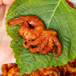 바다우체국 매운쭈꾸미볶음 300g 양념쭈꾸미 밀키트 캠핑음식 술안주 : 바다우체국