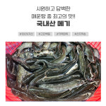 국내산 민물고기 메기 1kg , 메기매운탕 민물매운탕 어탕 어죽 : 자연나라다슬기
