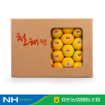 효돈농협 효돈감귤 제주 하우스감귤 로얄과 2S-M 2.5kg / 3kg / 4.5kg : 효돈농협
