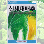 신세대배추 1000립 김장배추 씨앗 소포장 종자 채소씨앗 가정원예 모종키우기 텃밭꾸미기 : 티움네이처