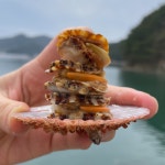 통영 제철 비단 홍가리비 2kg 구이 찜 세척 선별 조개구이 : 통영이순신수산