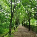 황금연휴 [1박2일/버스] 가을 산 들 강 사이 전북, 대전 : 주식회사 여행공방