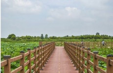 [1박2일/리무진] 익산, 완주, 대전에서 즐기는 여유 : 주식회사 여행공방