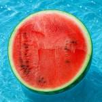 [당도선별]믿고 먹는 정담 25년 제철 고당도 프리미엄 제철 꿀수박 논산 부여 : 정담한끼