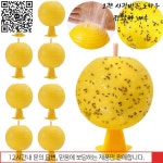 실내 야외용 과일 플라이 트랩 날으는 곤충 볼 다기능 끈적한 구체 시트러스 모양 : 퍼스트원상사